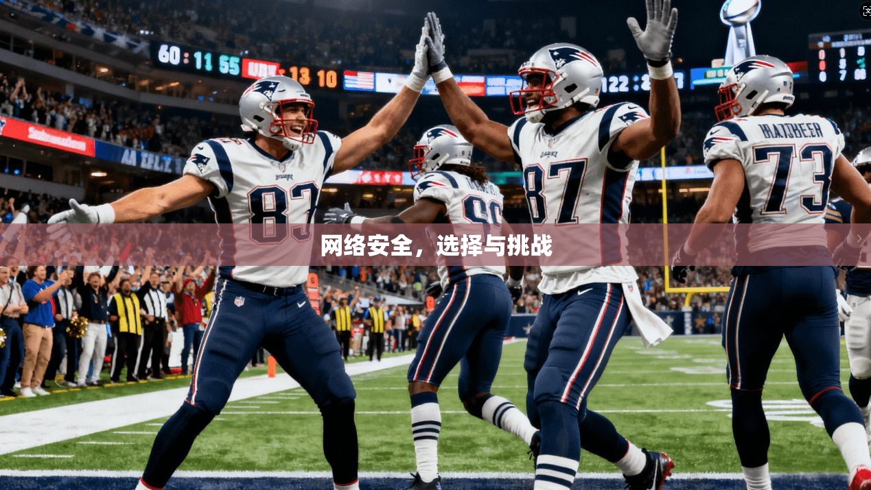 网络安全，选择与挑战
