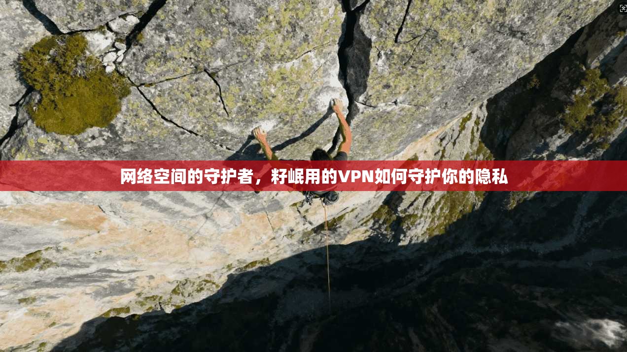 网络空间的守护者，籽岷用的VPN如何守护你的隐私