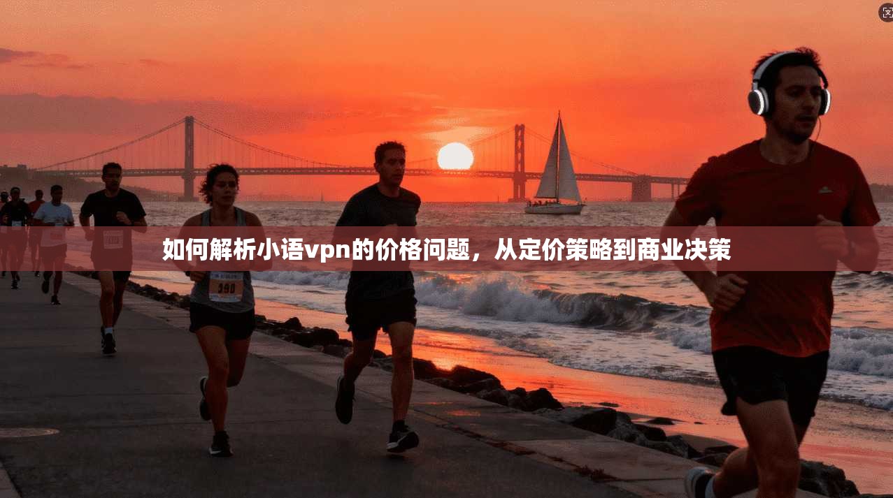 如何解析小语vpn的价格问题，从定价策略到商业决策