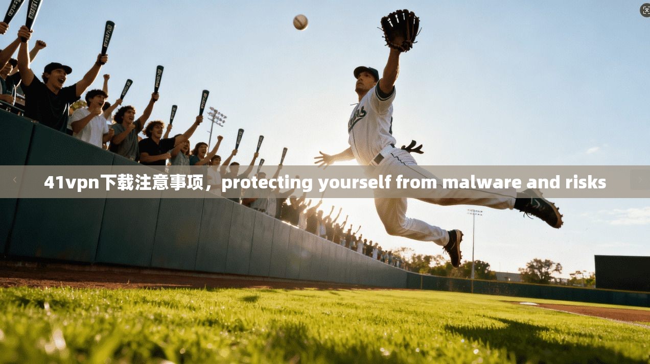 41vpn下载注意事项，protecting yourself from malware and risks
