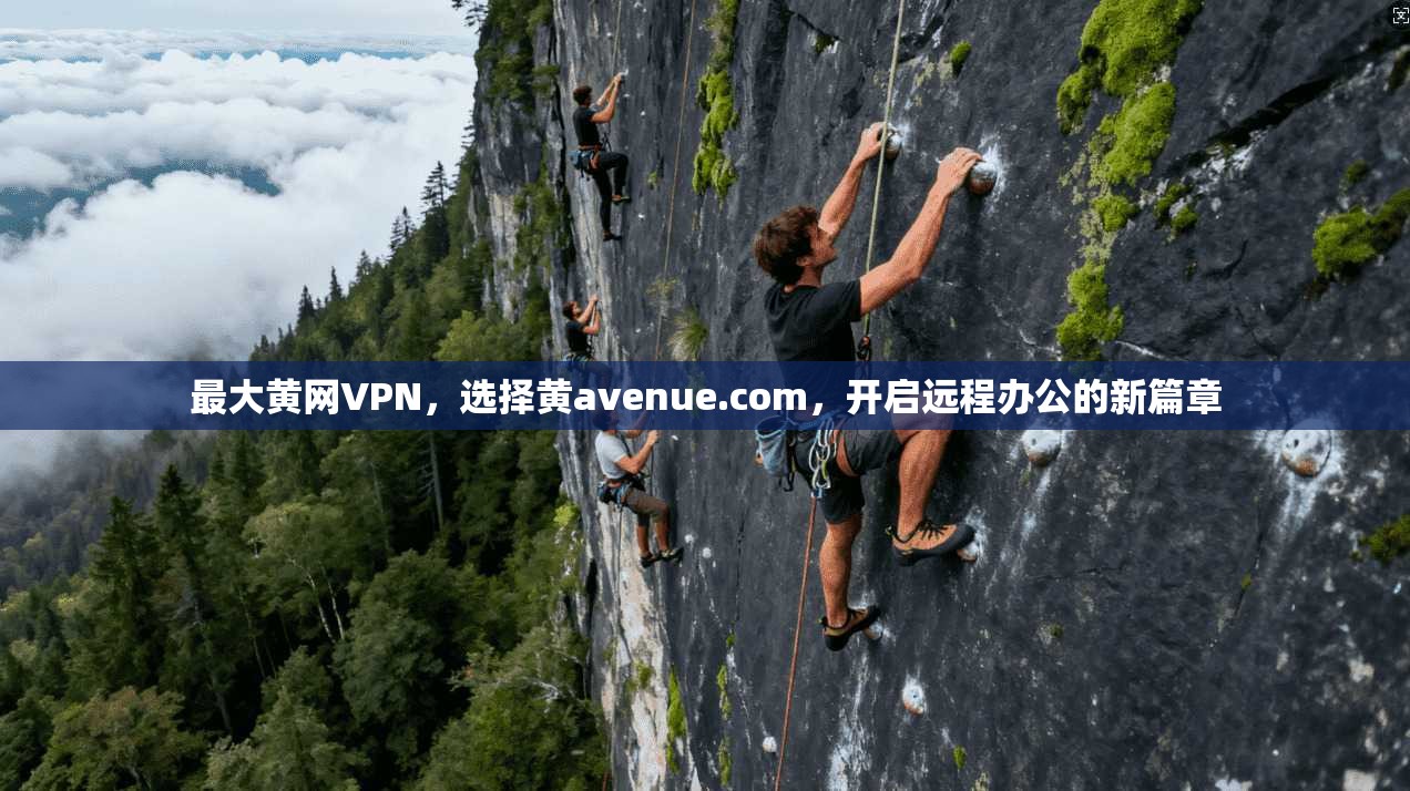 最大黄网VPN，选择黄avenue.com，开启远程办公的新篇章
