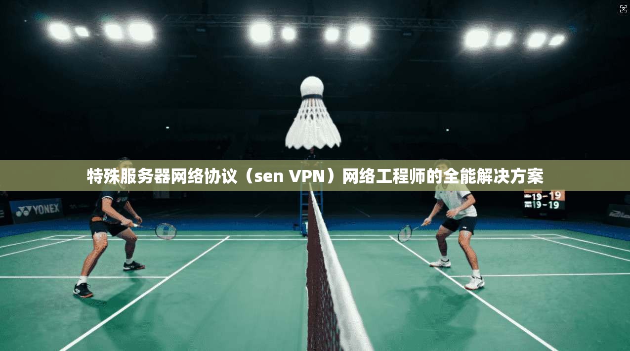 特殊服务器网络协议(sen VPN)网络工程师的全能解决方案