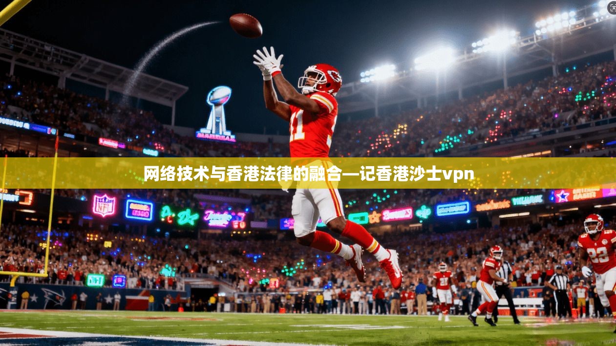 网络技术与香港法律的融合—记香港沙士vpn
