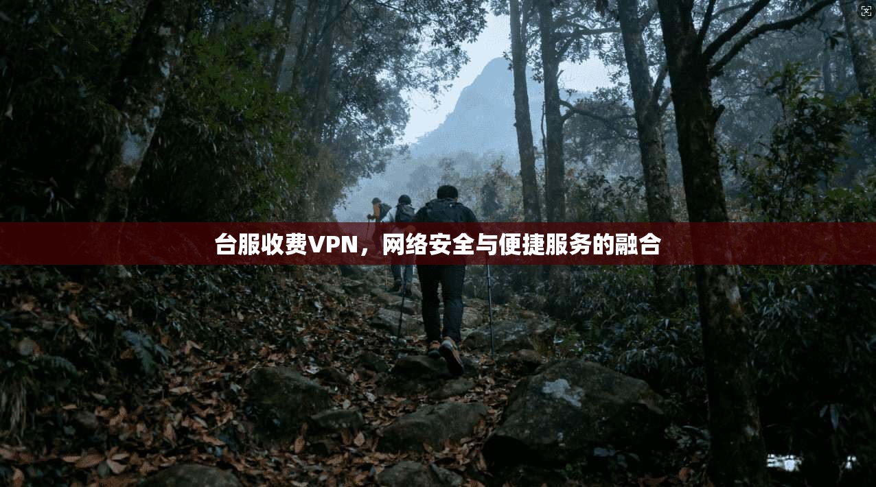 台服收费VPN，网络安全与便捷服务的融合