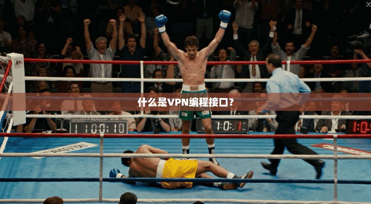 什么是VPN编程接口？