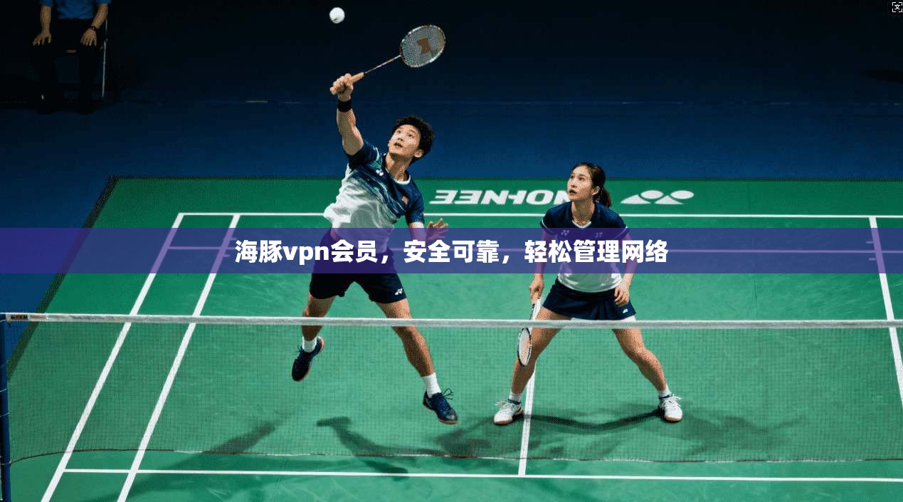海豚vpn会员，安全可靠，轻松管理网络