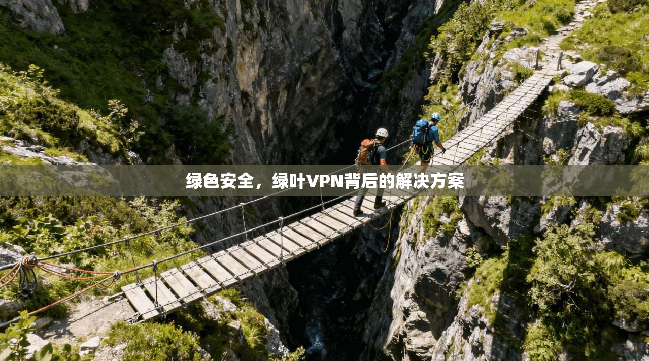 绿色安全,绿叶VPN背后的解决方案