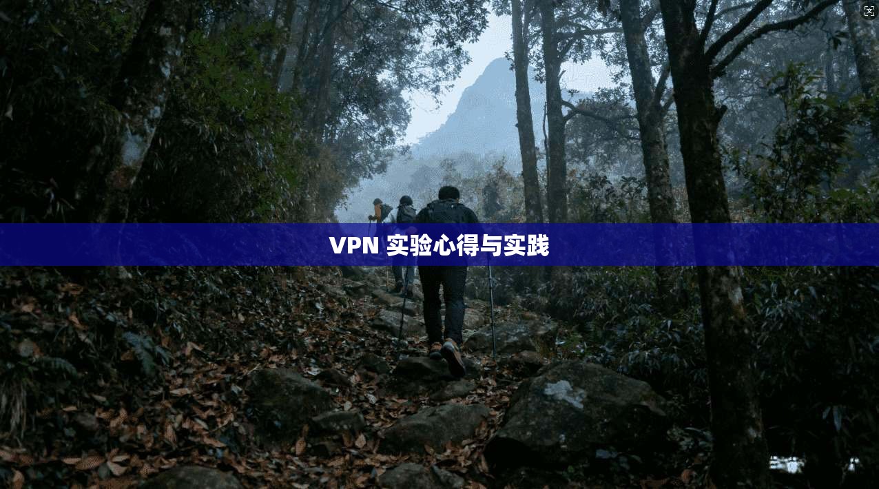 VPN 实验心得与实践
