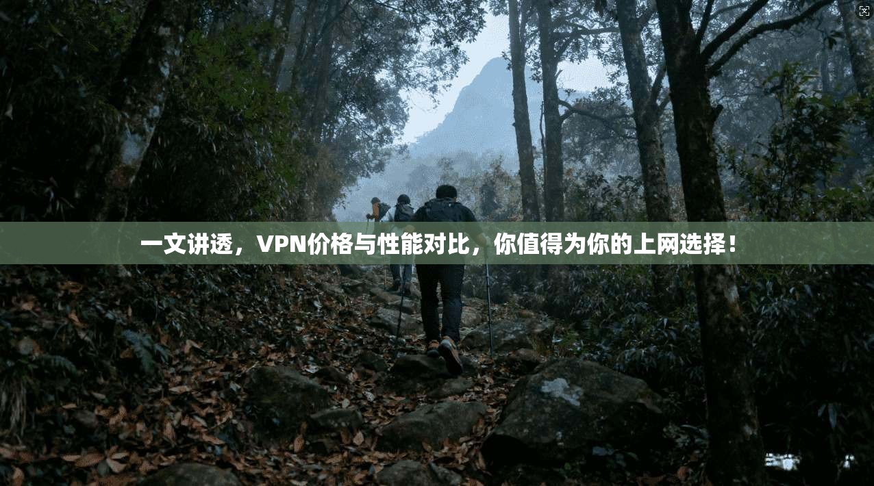 一文讲透，VPN价格与性能对比，你值得为你的上网选择！