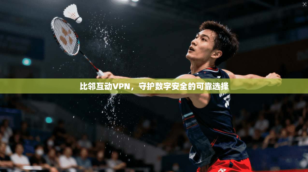比邻互动VPN，守护数字安全的可靠选择