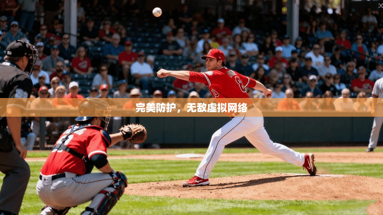 完美防护,无敌虚拟网络