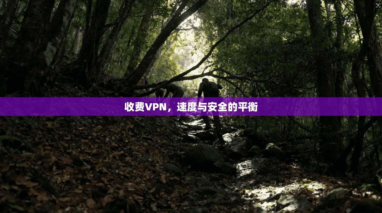 收费VPN,速度与安全的平衡