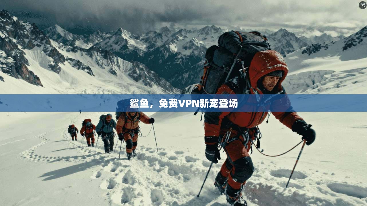 鲨鱼，免费VPN新宠登场