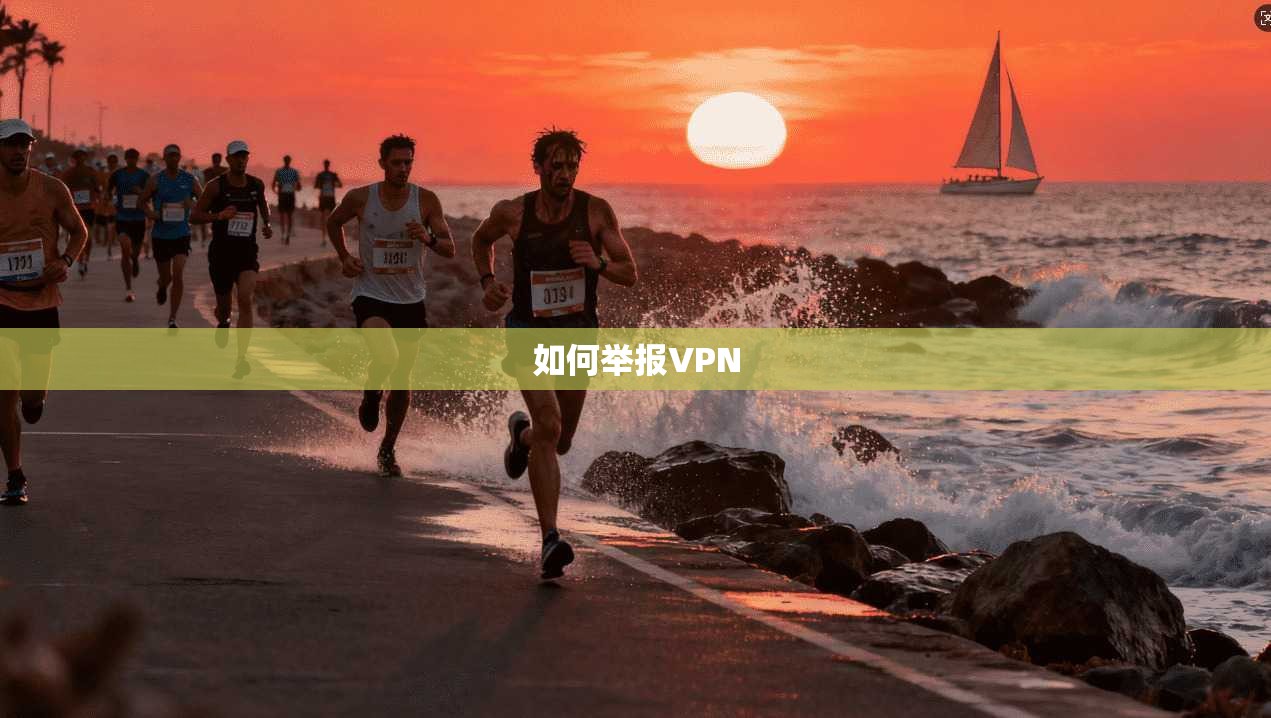 如何举报VPN