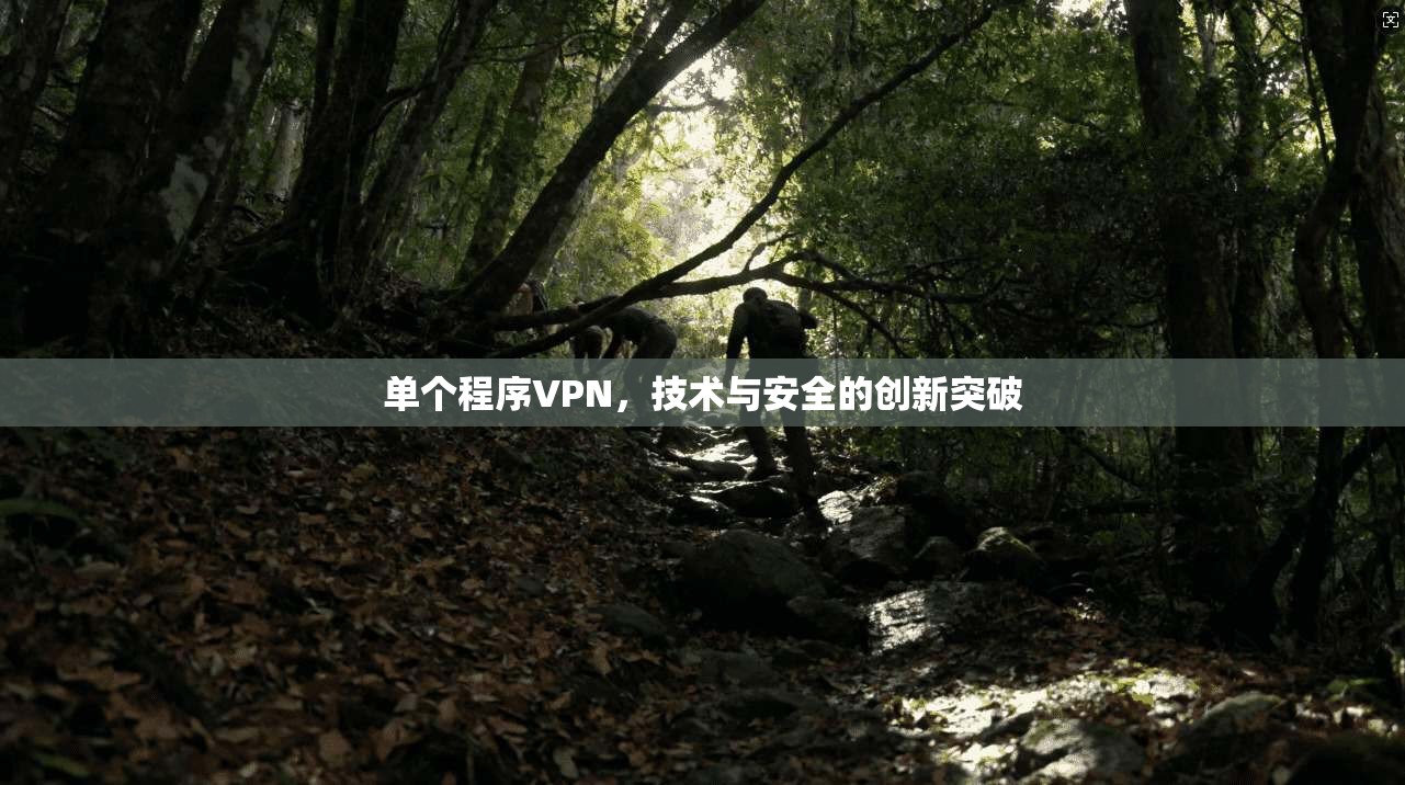 单个程序VPN,技术与安全的创新突破