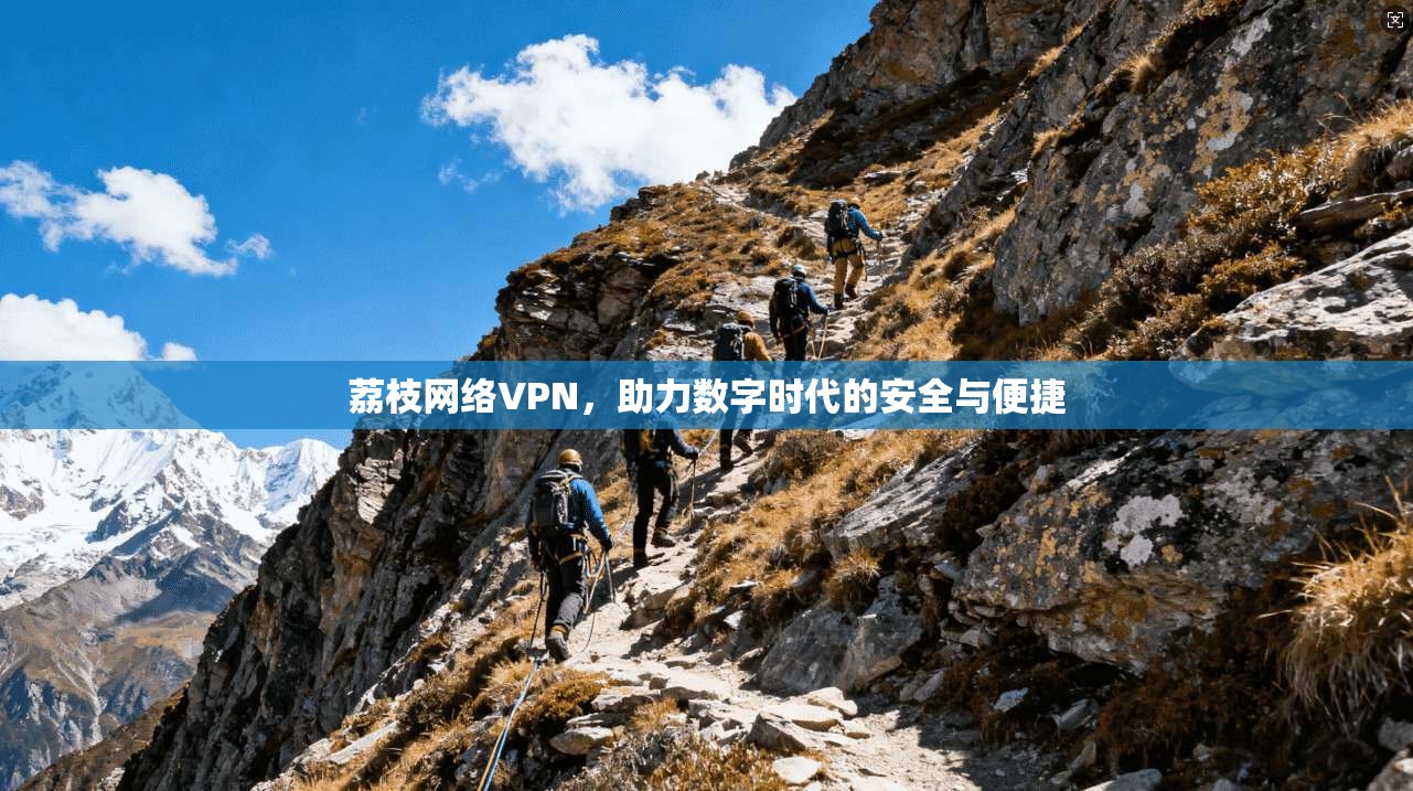 荔枝网络VPN,助力数字时代的安全与便捷