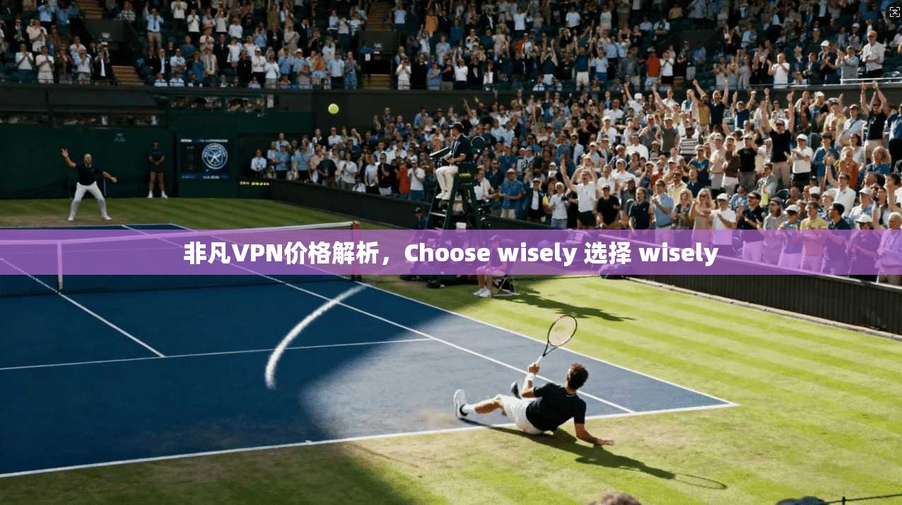 非凡VPN价格解析,Choose wisely 选择 wisely