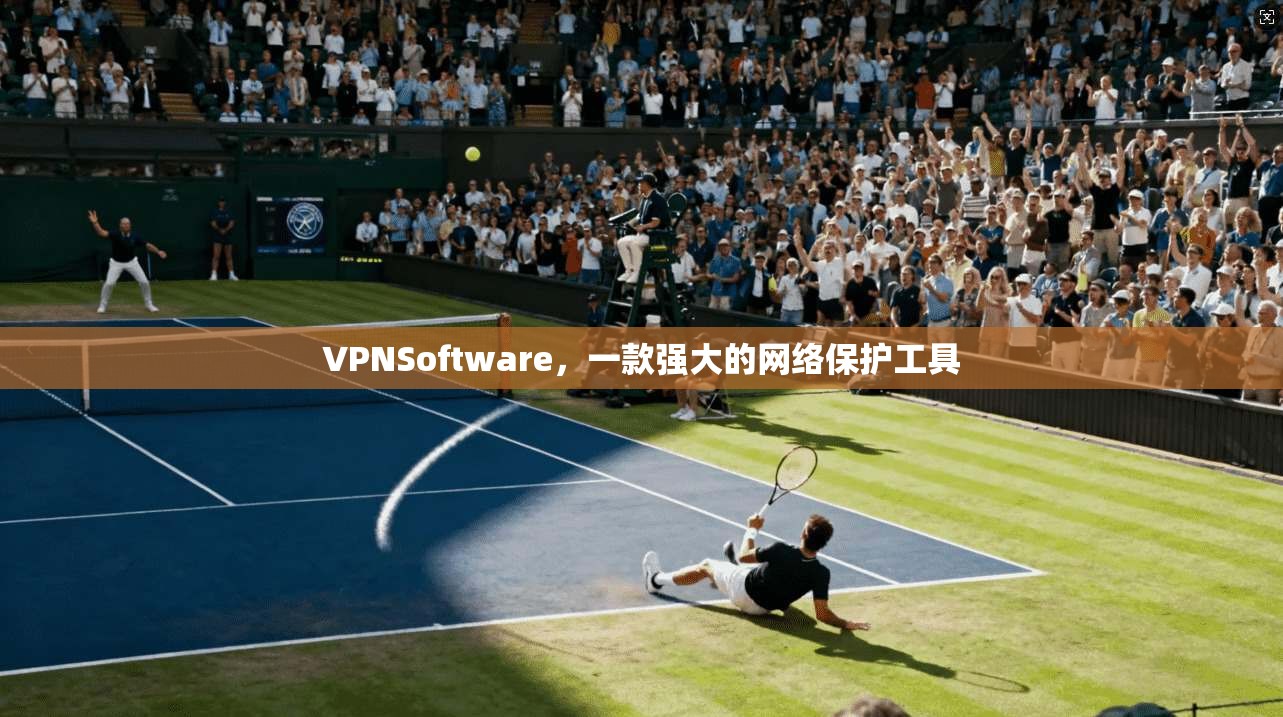 VPNSoftware，一款强大的网络保护工具