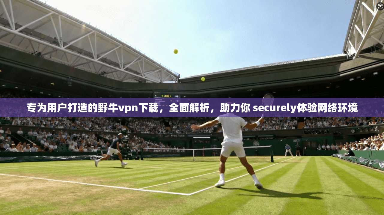 专为用户打造的野牛vpn下载，全面解析，助力你 securely体验网络环境