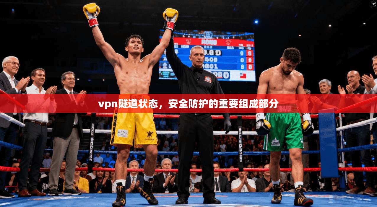 vpn隧道状态，安全防护的重要组成部分