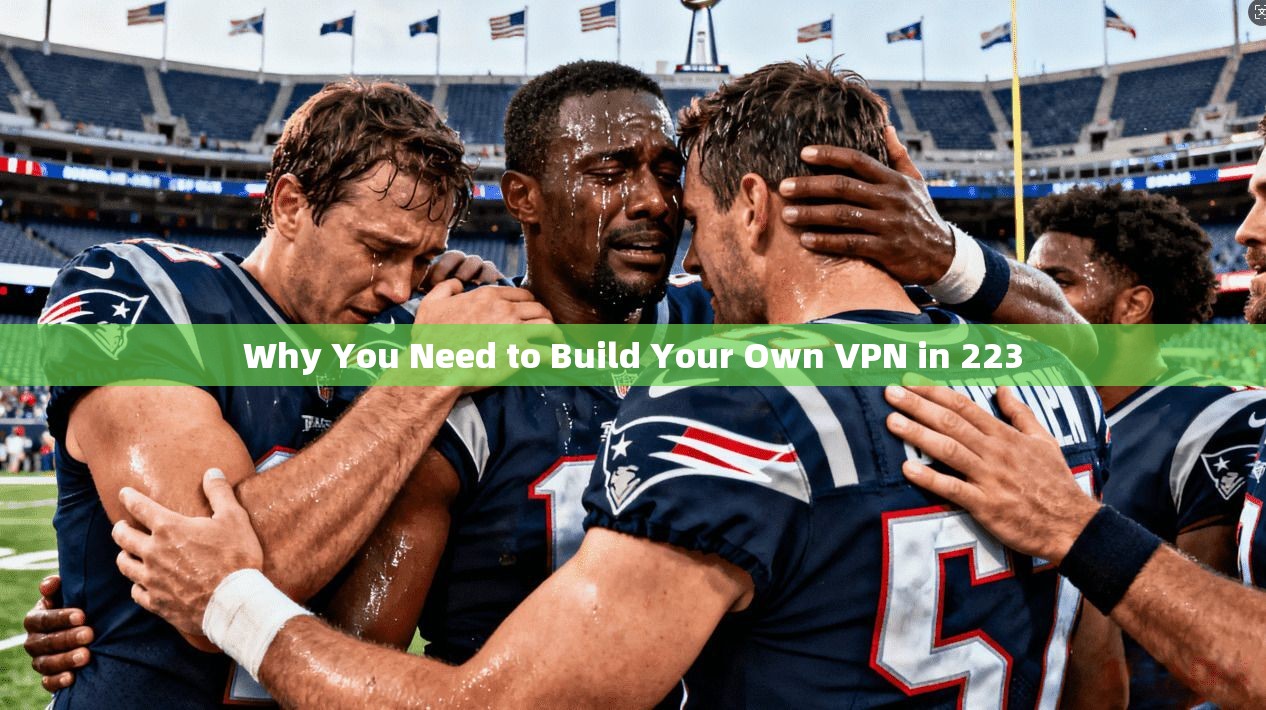 Why You Need to Build Your Own VPN in 223