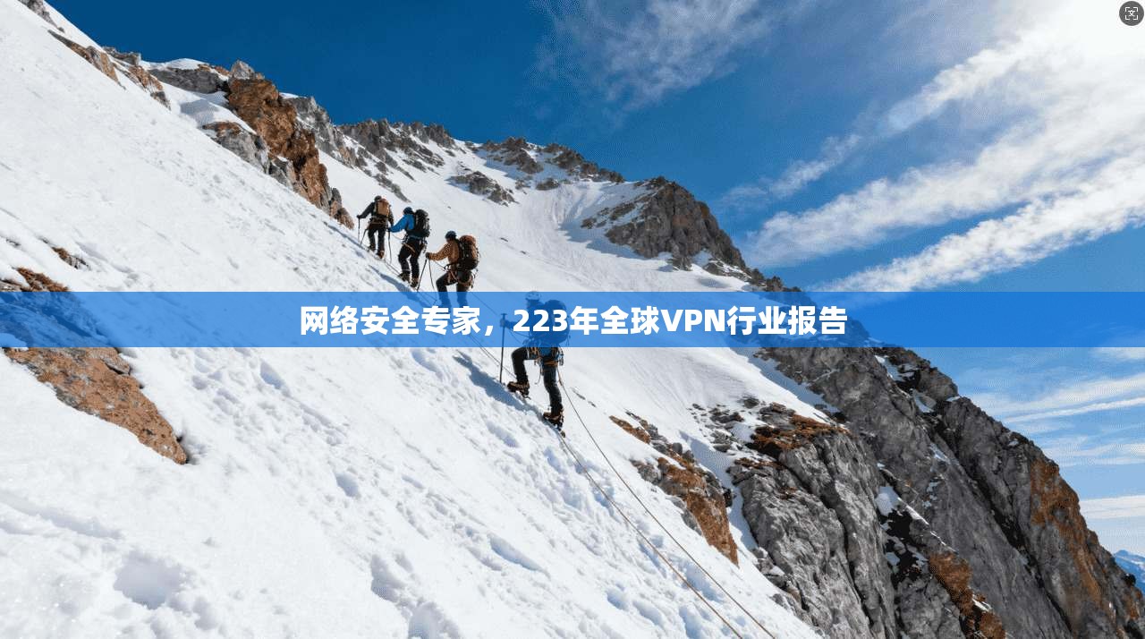 网络安全专家,223年全球VPN行业报告