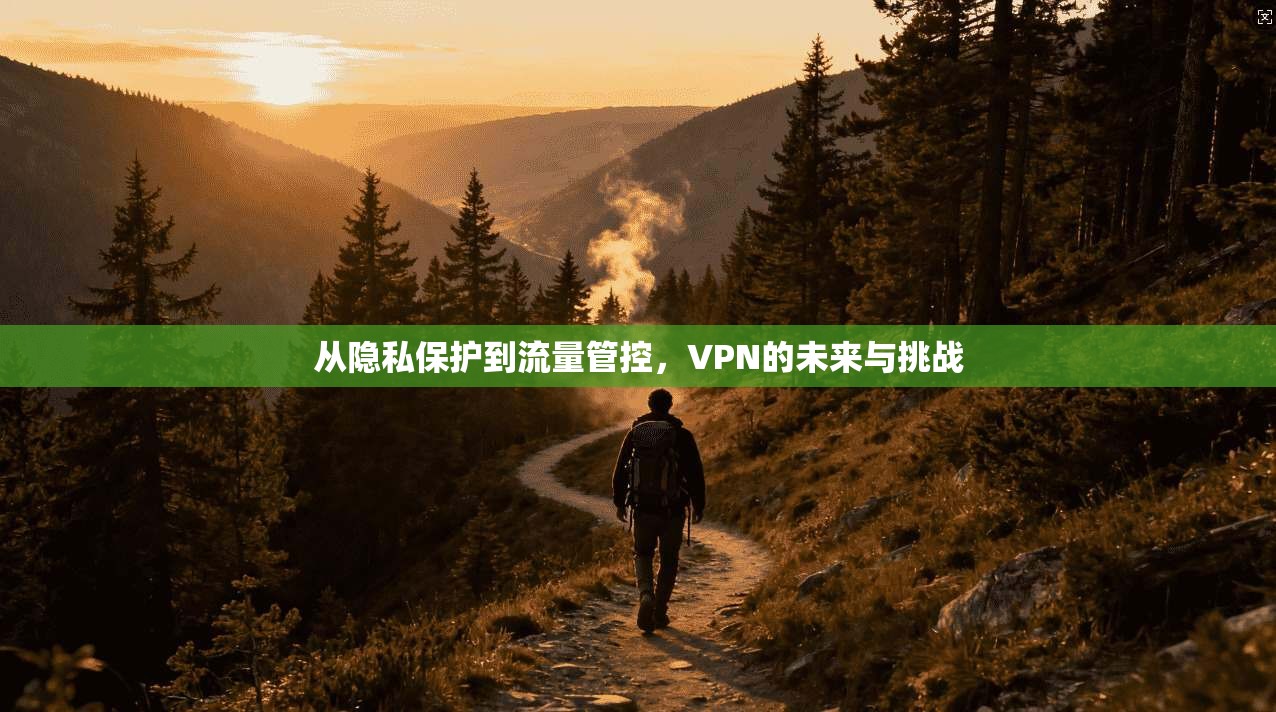 从隐私保护到流量管控，VPN的未来与挑战