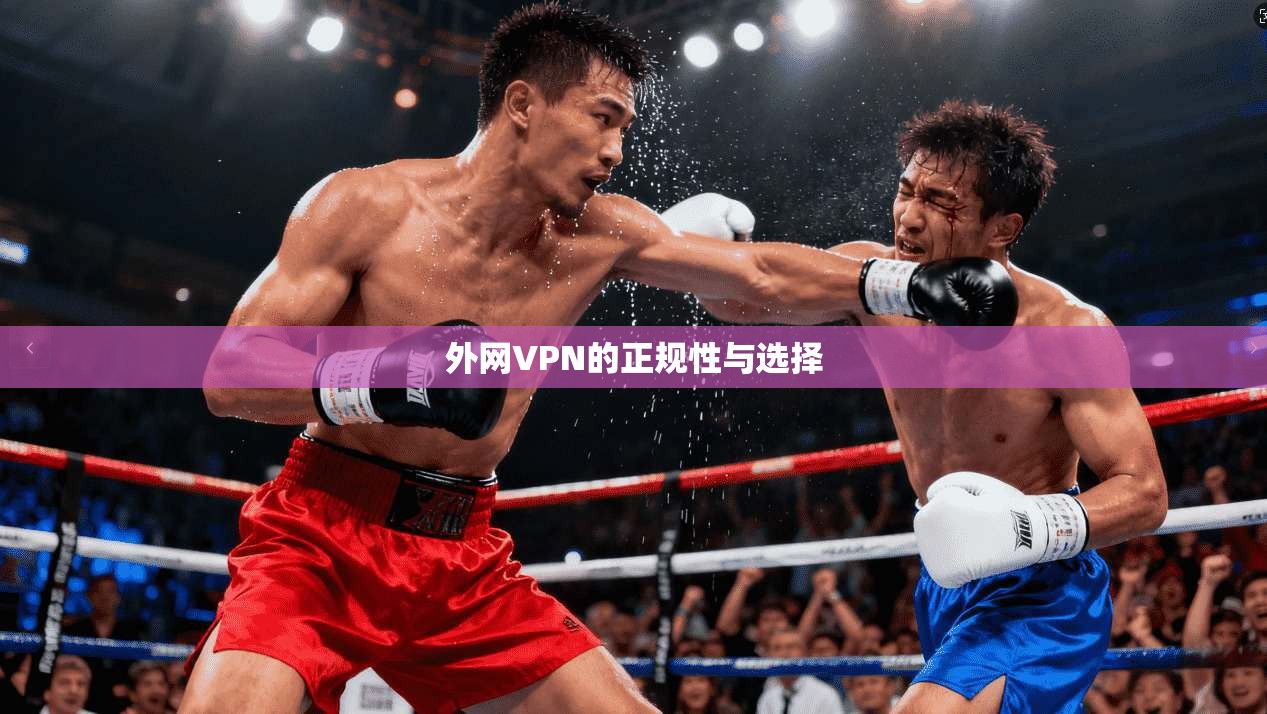 外网VPN的正规性与选择
