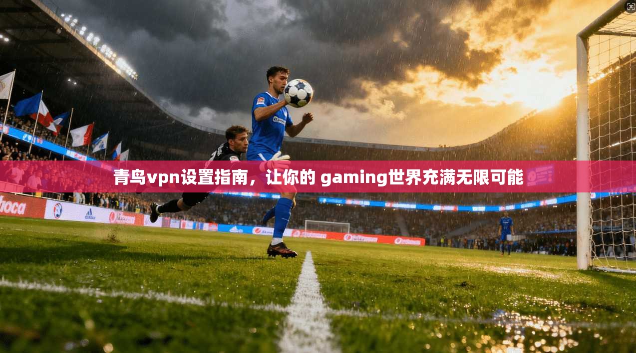 青鸟vpn设置指南，让你的 gaming世界充满无限可能
