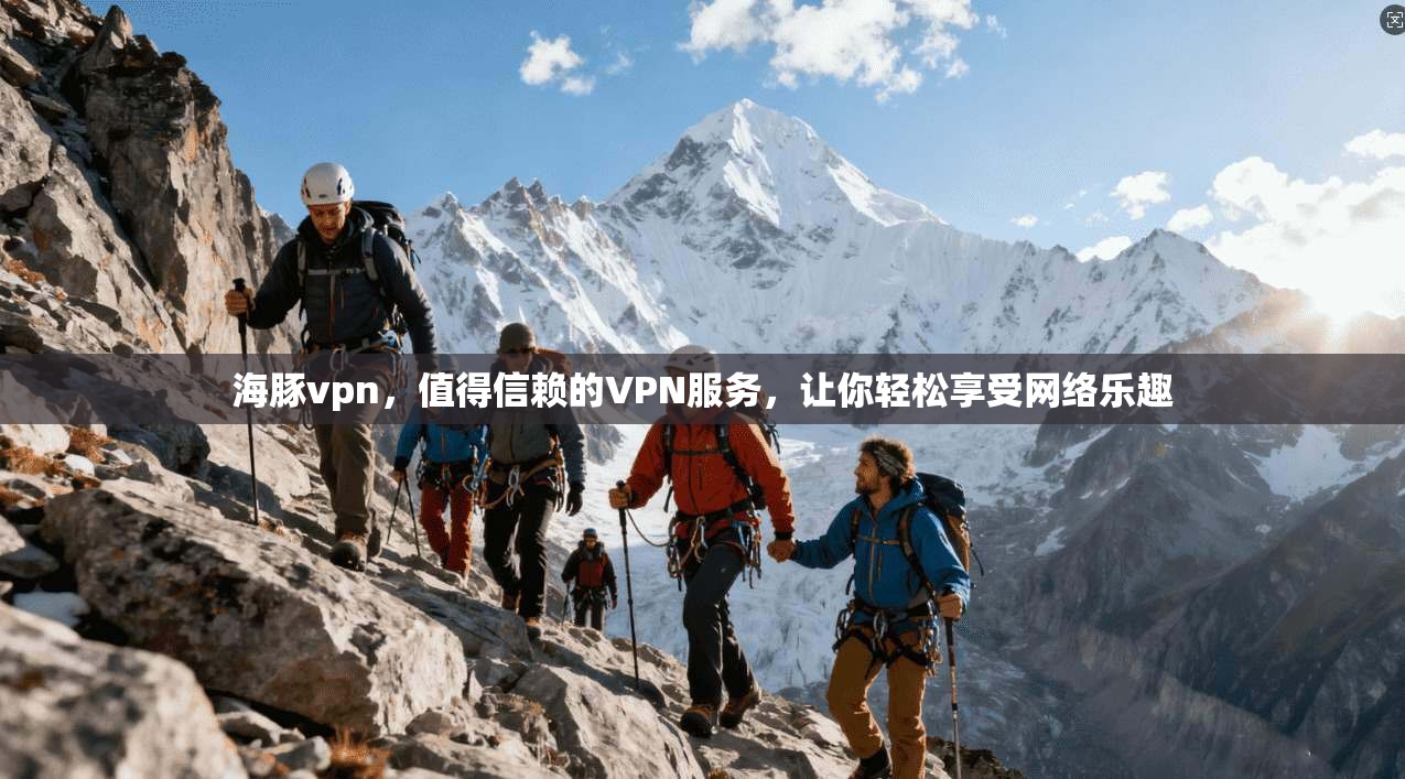 海豚vpn，值得信赖的VPN服务，让你轻松享受网络乐趣