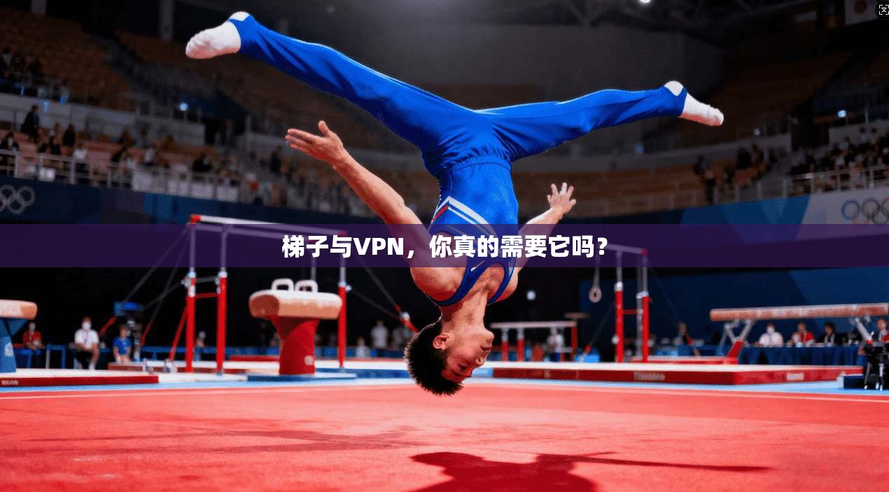 梯子与VPN，你真的需要它吗？