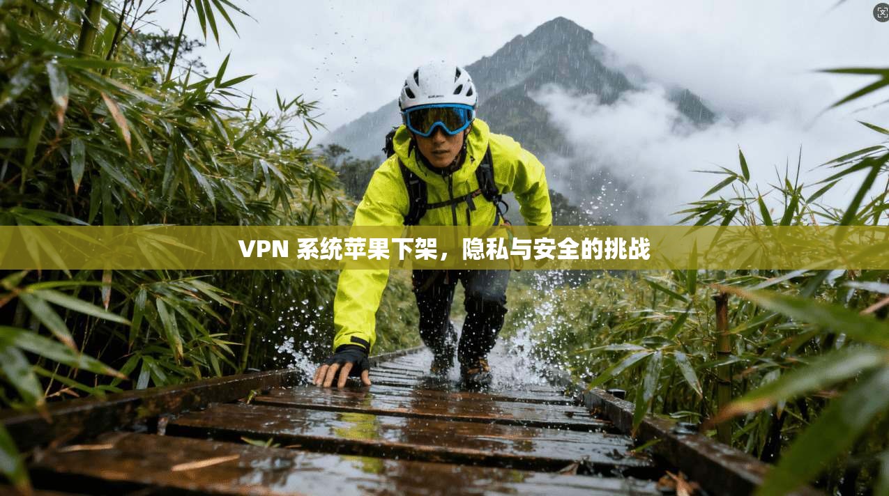VPN 系统苹果下架，隐私与安全的挑战