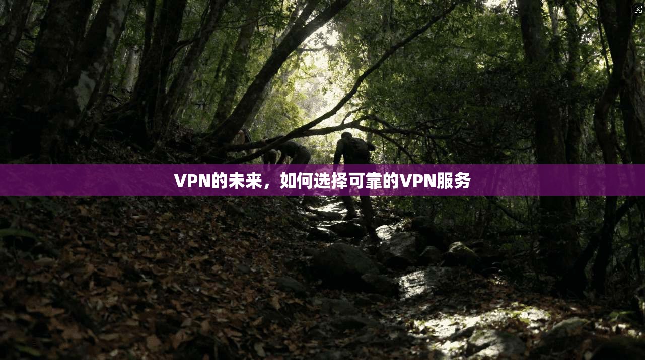 VPN的未来，如何选择可靠的VPN服务