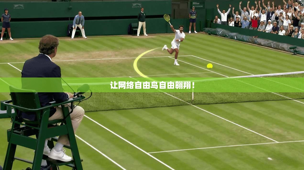 让网络自由鸟自由翱翔！