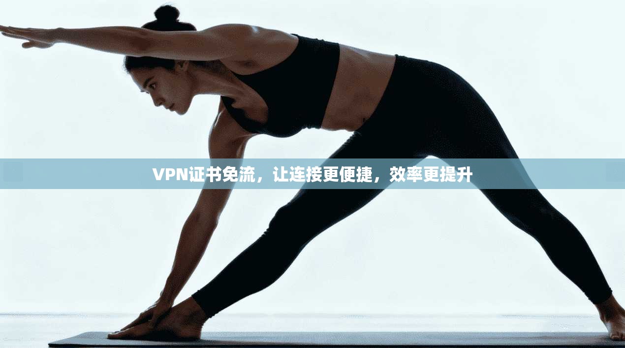 VPN证书免流，让连接更便捷，效率更提升