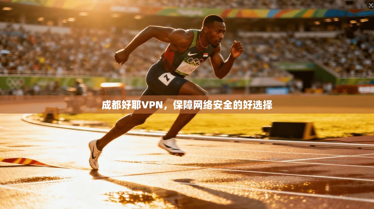 成都好耶VPN，保障网络安全的好选择