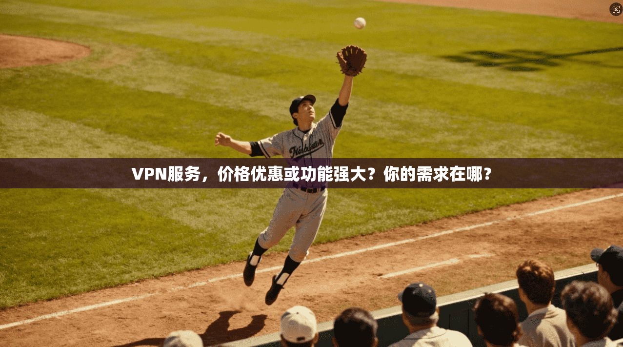 VPN服务，价格优惠或功能强大？你的需求在哪？