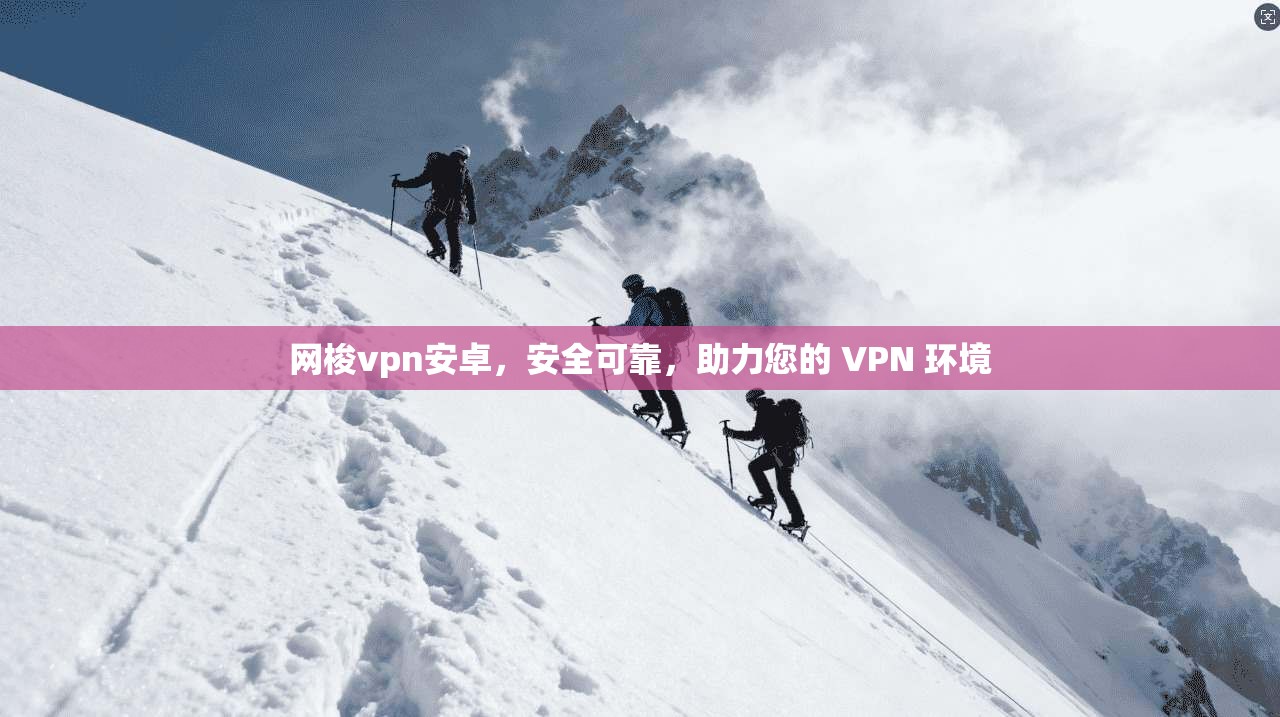 网梭vpn安卓,安全可靠,助力您的 VPN 环境