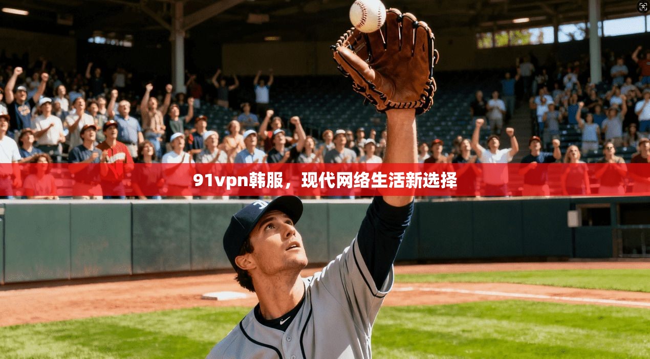 91vpn韩服,现代网络生活新选择