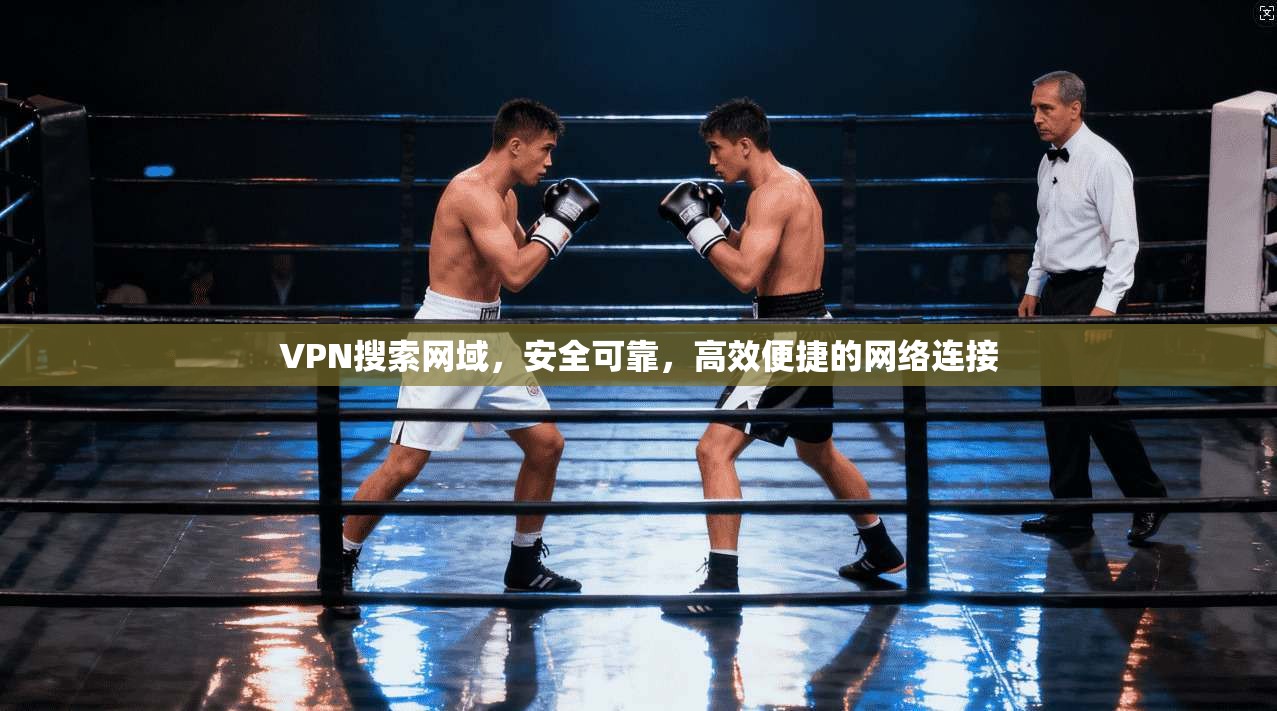 VPN搜索网域，安全可靠，高效便捷的网络连接