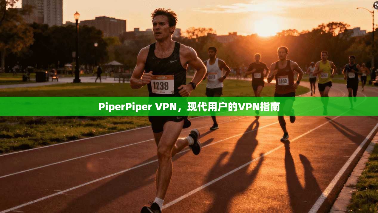 PiperPiper VPN,现代用户的VPN指南