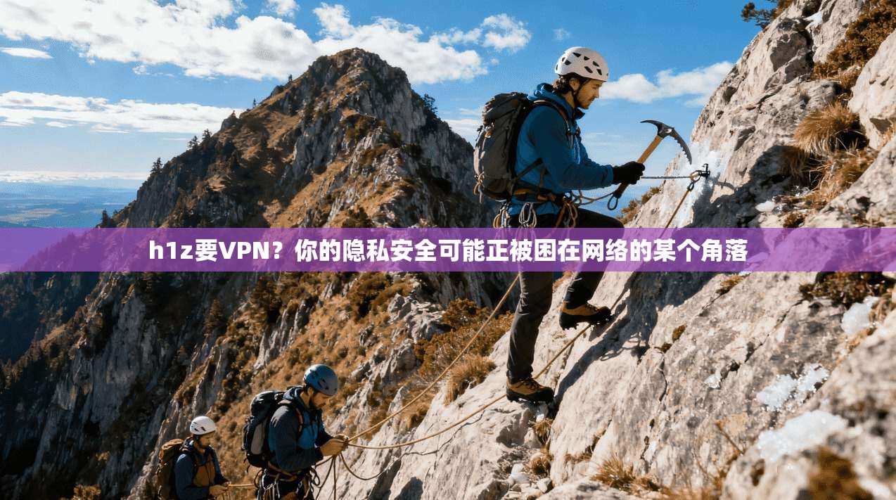 h1z要VPN？你的隐私安全可能正被困在网络的某个角落