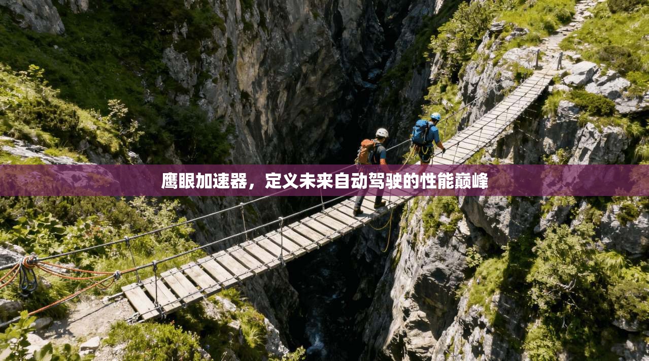 鹰眼加速器，定义未来自动驾驶的性能巅峰