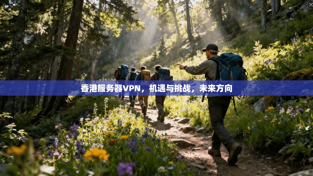 香港服务器VPN，机遇与挑战，未来方向