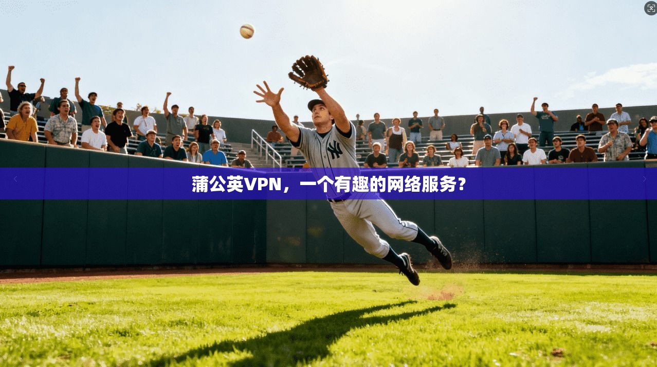 蒲公英VPN，一个有趣的网络服务？