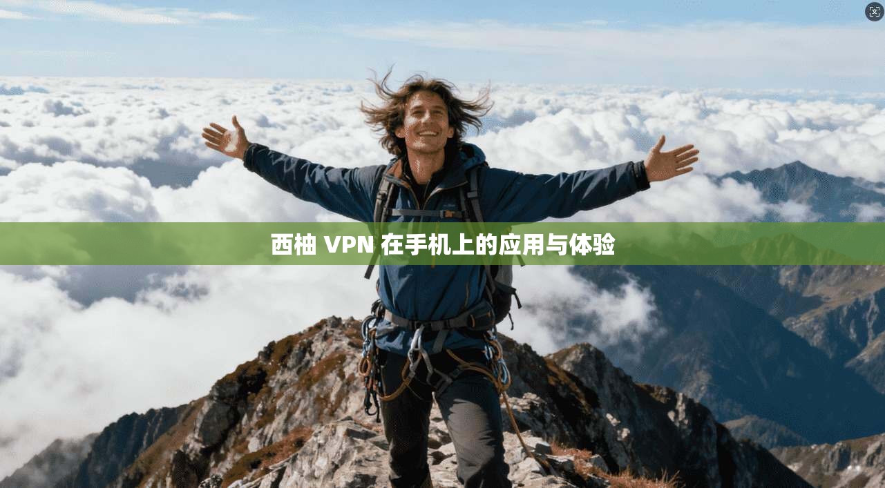 西柚 VPN 在手机上的应用与体验