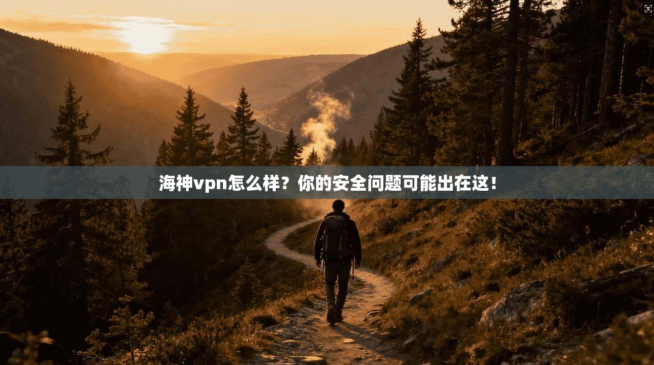 海神vpn怎么样?你的安全问题可能出在这!