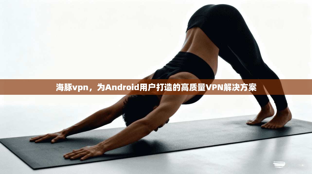 海豚vpn，为Android用户打造的高质量VPN解决方案