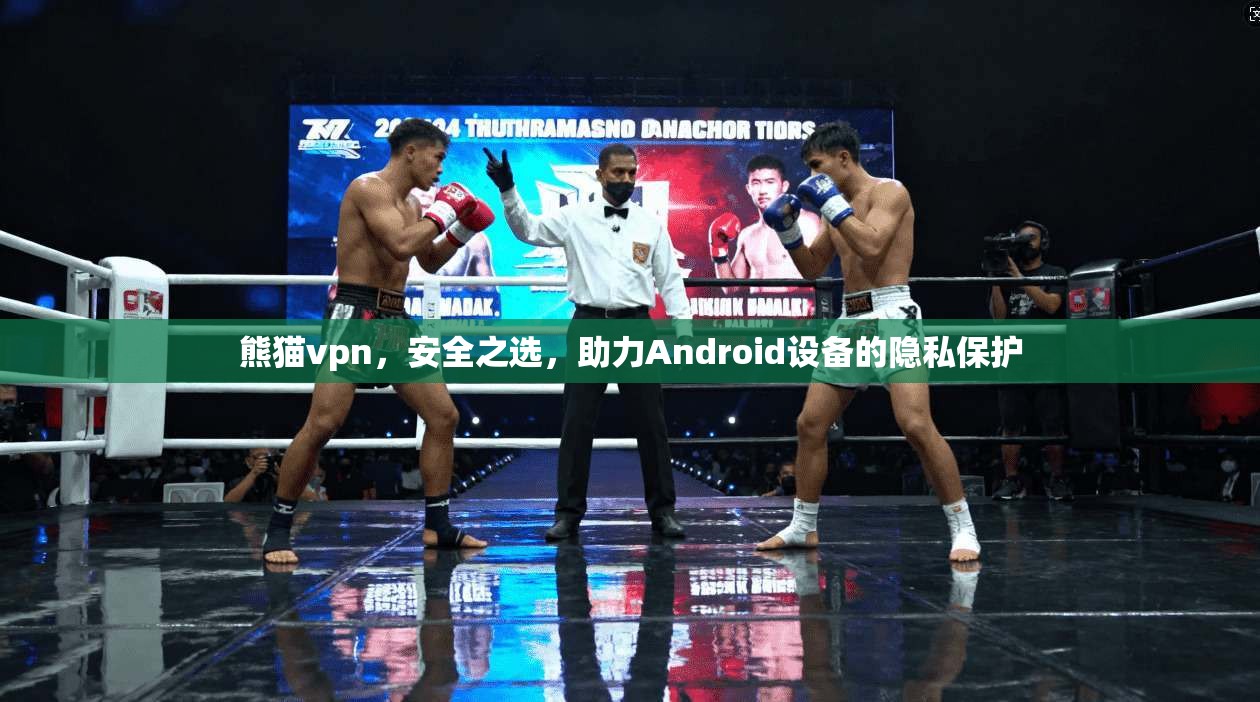 熊猫vpn，安全之选，助力Android设备的隐私保护