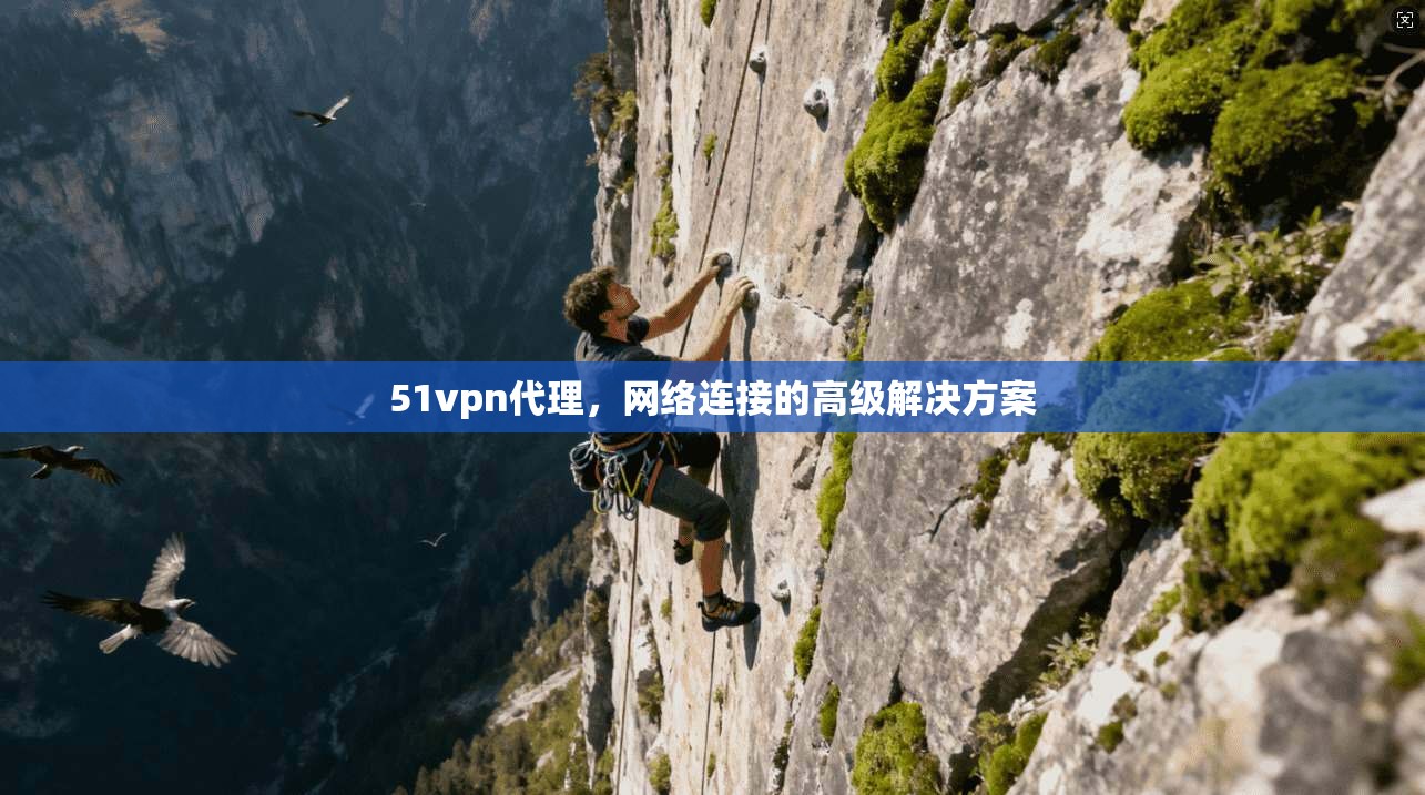 51vpn代理，网络连接的高级解决方案